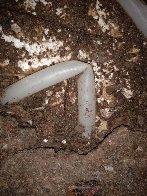 大名堵点精准查找